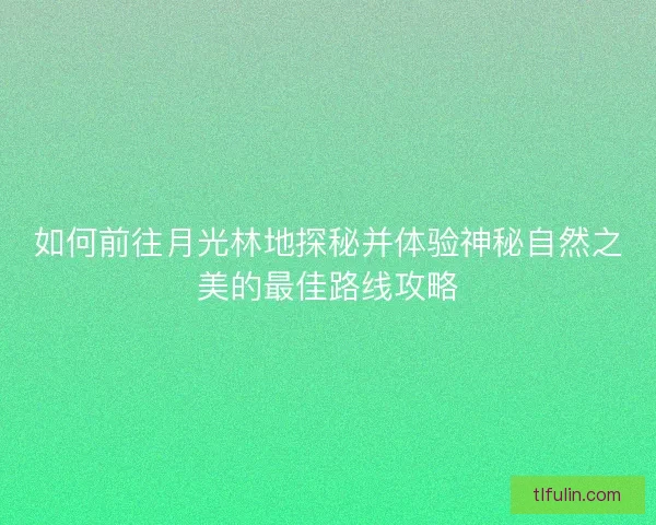 如何前往月光林地探秘并体验神秘自然之美的最佳路线攻略