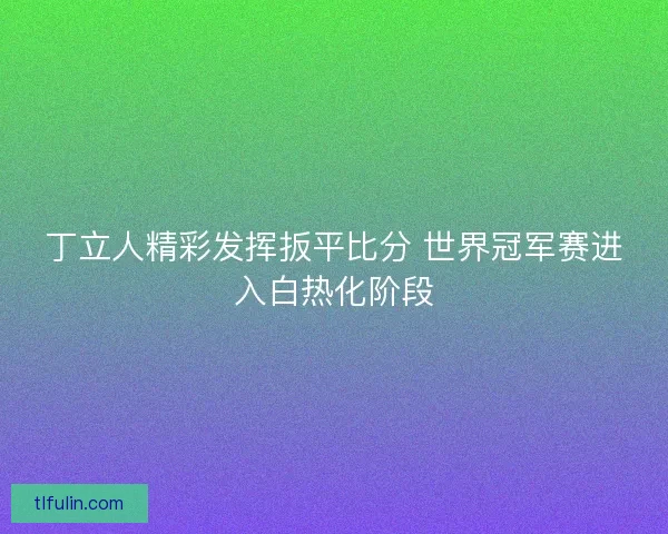 丁立人精彩发挥扳平比分 世界冠军赛进入白热化阶段