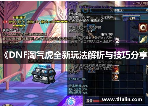 《DNF淘气虎全新玩法解析与技巧分享》