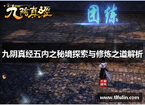 九阴真经五内之秘境探索与修炼之道解析