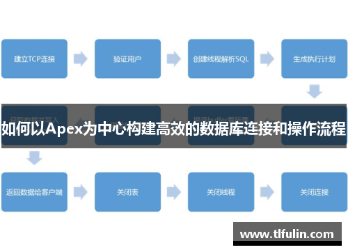 如何以Apex为中心构建高效的数据库连接和操作流程