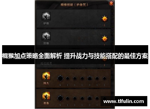 棍猴加点策略全面解析 提升战力与技能搭配的最佳方案