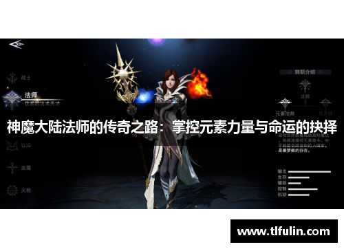 神魔大陆法师的传奇之路：掌控元素力量与命运的抉择